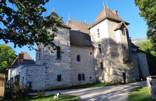 Château de Rivoiranche - Photo 3