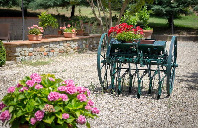 Agriturismo Bellosguardo - Photo 20