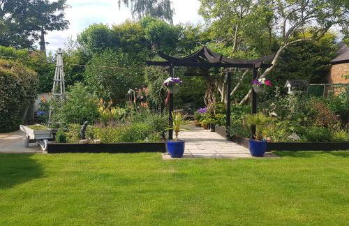 Peaceful self contained Studio in lovely garden. - Photo 16