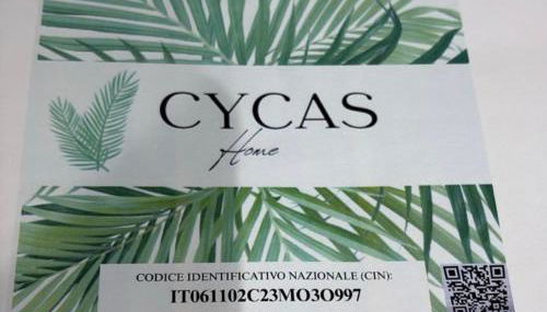 Cycas - Foto 2