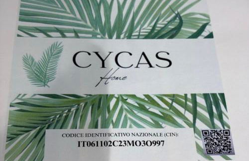 Cycas - Foto 2