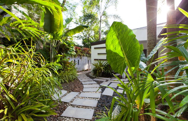 Baan Phukhao - Photo 56