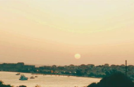 Το Σπίτι της Ελιάς - Foto 34