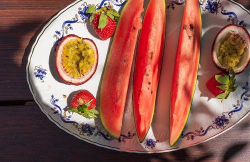 The backyard- Κατοικία στην Αγριά, Βόλου - Foto 24