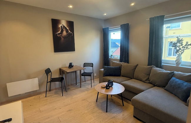 Notodden Sentrum Apartment NO 4 - Photo 15