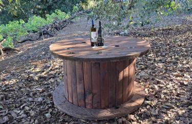 Finca Mamposo - Foto 23