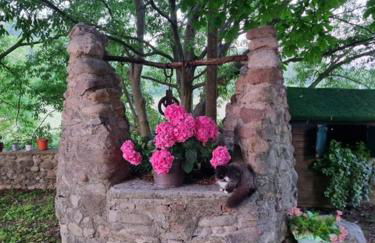 Agriturismo Case in Collina - Foto 1