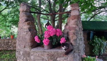 Agriturismo Case in Collina - Foto 1