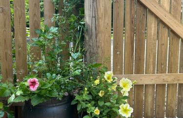 Flying Scotsman Unique Carriage Pet Friendly! Lazy Spa can be available upon request with additional cost of 40 - Foto 23