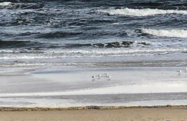 Appartment Ostseetraum - Foto 28