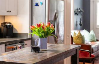 Luxury Historic Shotgun Home in Lower Garden District - Foto 22