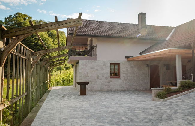 Vineyard cottage Radulja - Photo 10