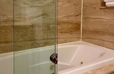 Spectacular Gilded Age 6 Bedroom Gold Coast Mansion with Deck - Foto 35