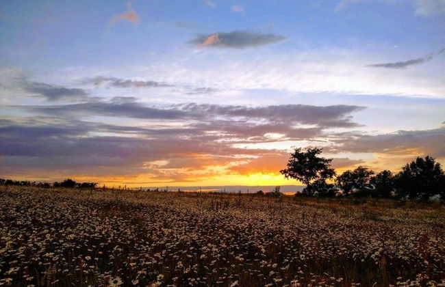 Inviting Holiday Home in Miremont With Garden - Foto 38
