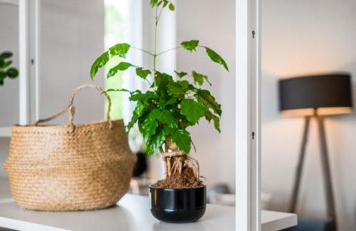 Ruhiges und modernes Zuhause - Foto 7