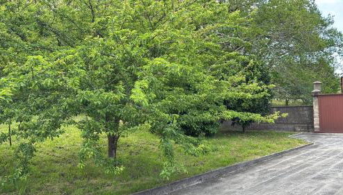 Casa de Outes - Foto 2