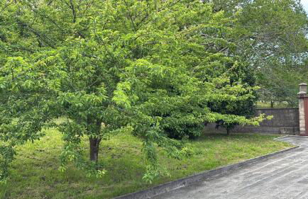 Casa de Outes - Foto 2