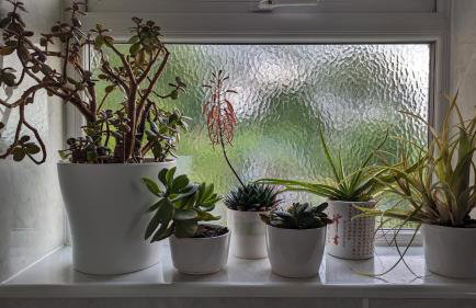 Rose Cottage - Foto 10