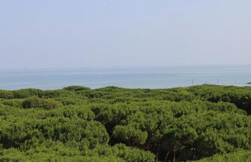 Eraclea Palace Appartements - Foto 27