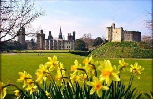 1-bed Cottage on Coastal Pathway in South Wales - Foto 42