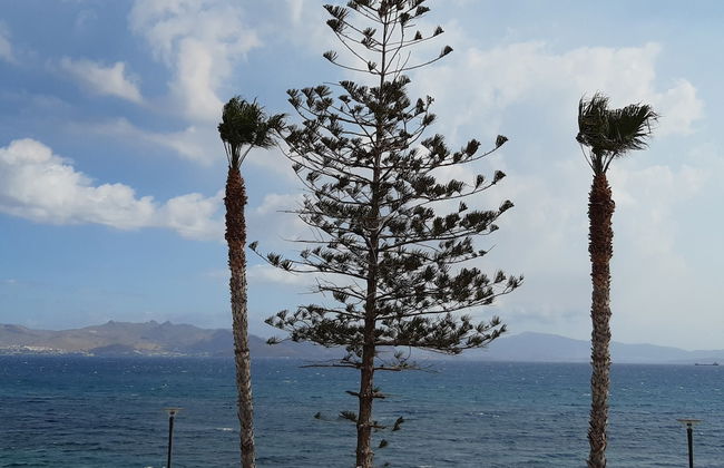 Bristol Sea View Apartments - Photo 70