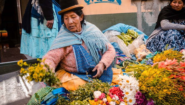 La Paz Museums & Markets Private Tour - Foto 5