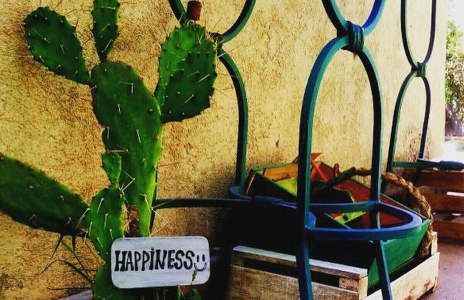 Holiday Home Dark Green House - Foto 36