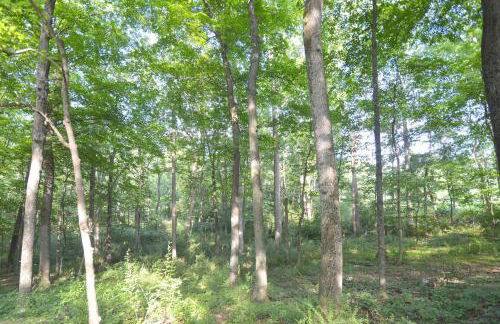 Ma-ple Haven --Wifi, Fireplace, Deck, Fire Pit, Family Friendly, Game Room, Pool Access - Foto 11