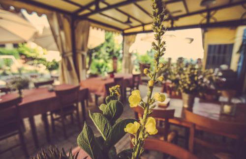 Agriturismo I Surì Asti - Foto 20