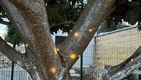 Casa Rural Reme - Foto 4