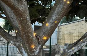 Casa Rural Reme - Foto 4