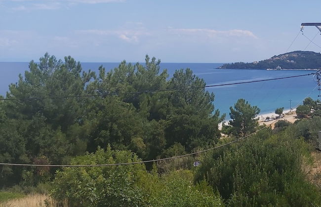 Filoxenia Hotel & Apartments - Photo 16