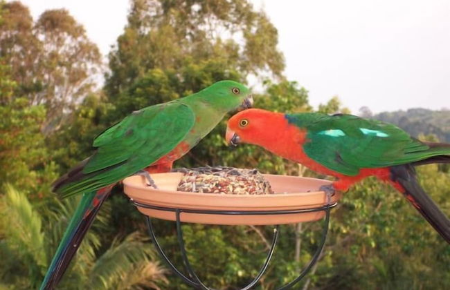 The Falls Montville - Photo 22