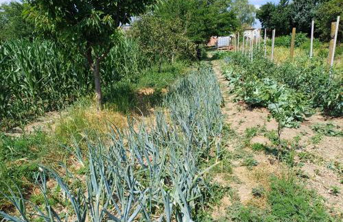 Kuća za odmor MIRA Vukovar - Foto 36