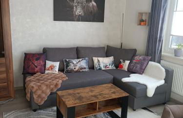 HARZ-PFOTE familien- und hundefreundliche Ferienwohnung - Foto 12