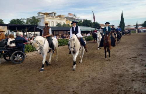 Quinta do Minhoto, Charming country House close to Golegã - Foto 9