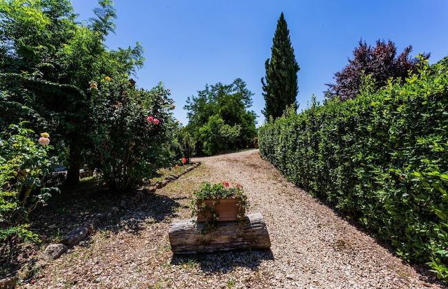 Apartment in Tuscany With Pool and Scenic Views - Foto 24