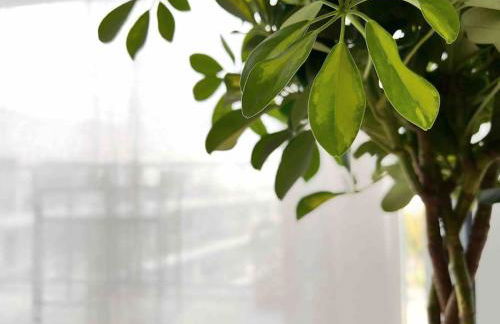 L'Imperti'Nantes - Foto 57