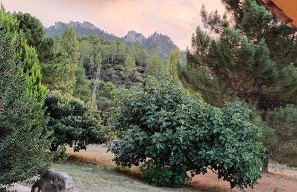 Casa Maite - Foto 4
