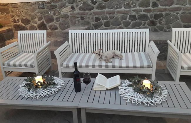 Olive Press Hotel & Apartments - Foto 62