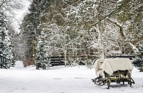Comfortable Holiday Home in the Middle of a Forest - Foto 86