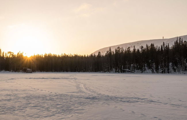 Metsä-luosto - Foto 44