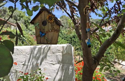 Flower house - Foto 45