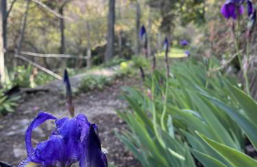 Cortijo San Roque Alojamientos Rurales - Foto 13