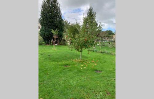 Studio indépendant Lisieux - Photo 35