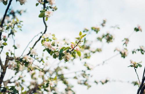 Haus Bergblick 1 - Foto 8