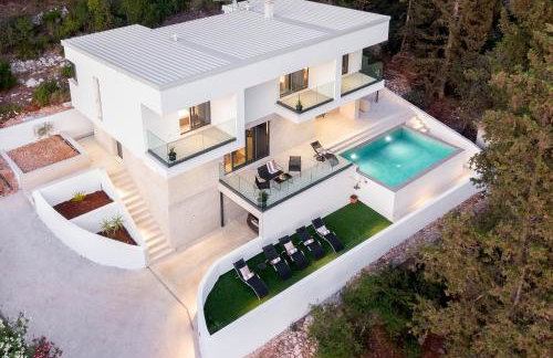 My seagull - Photo 66