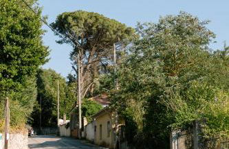 Kipos Mon Repos - Foto 40