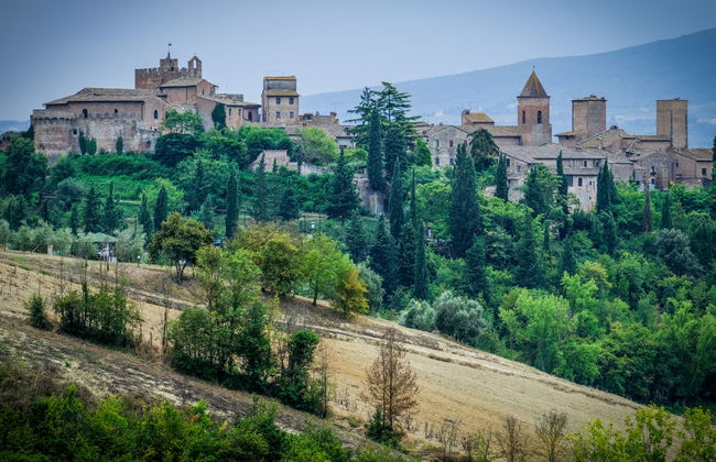 1 bedroom Apartment in Certaldo with swimming pool and garden - Photo 32