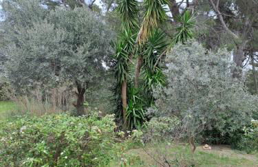 Gîte " Le Clos de la Pinède " - Foto 32